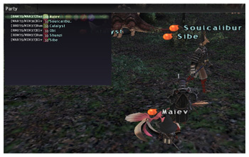 Chaining 160+, Lv72, FFXI Maiev of Fenrir, DuckHUNT with Sibe and Soulcalibur