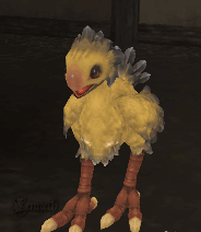 FFXI Chocobo Baby