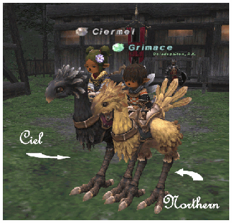 Ciermel and Grimace on Chocobo, FFXI