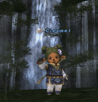 Waterfall, Ciermel on FFXI, TaruTaru Fenrir