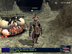 ffxi 2009.02.22 10.39.27