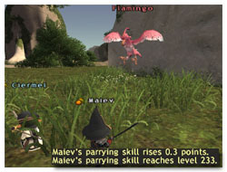 Maiev's Parrying Skillup on Taru Samurai, Parry FFXI Strategies