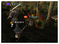 Expin with Tazo on Maiev's Taru Samurai, FFXI Fenrir