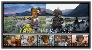 TaluTurks, the StarOnion Ciermel's Blog, FFXI Taru of Fenrir Server