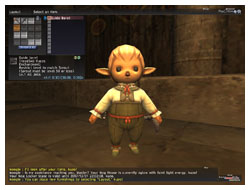 Equipping a Mannequin in FFXI, Furnature for Mog House