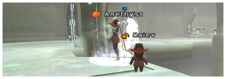 FFXI DuckHUNT LS, Jailer of Faith, Maiev and Amethyst of Fenrir