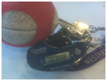 World of Warcraft, Security Authenticator, Keychain