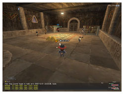 Equipping a Mannequin in FFXI, Furnature for Mog House