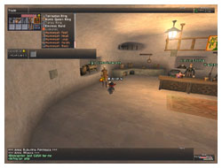 Mannequin Quest, Trade In, Mhaura, NPC of FFXI, Furnature for Mog House