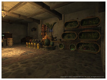 Mog House Design, FFXI, Furniture Placement