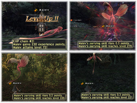 Maiev's Parrying Skillup, Samurai Parrying at FFXI Fenrir