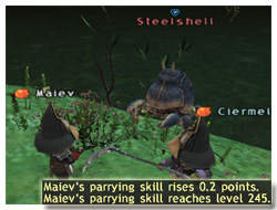 How to Parrying Skillup, Maiev on Taru Samurai, FFXI, Parrying Skill