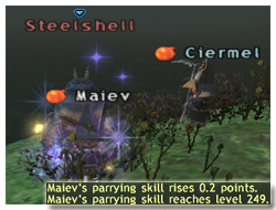 How to Parrying Skillup, Maiev on Taru Samurai, FFXI, Parrying Skill