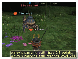 How to Parrying Skillup, Maiev on Taru Samurai, FFXI, Parrying Skill