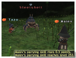 How to Parrying Skillup, Maiev on Taru Samurai, FFXI, Parrying Skill