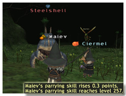 How to Parrying Skillup, Maiev on Taru Samurai, FFXI, Parrying Skill