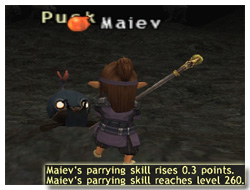 Parrying Skillup in FFXI, Maiev's Taru Samurai of Fenrir