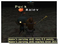 Parrying Skillup in FFXI, Maiev's Taru Samurai of Fenrir