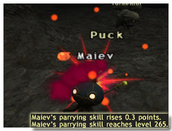 Parrying Skillup in FFXI, Maiev's Taru Samurai of Fenrir