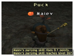 Parrying Skillup in FFXI, Maiev's Taru Samurai of Fenrir