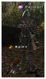 Palidor Kupo, Maiev FFXI, Taru of Fenrir Server