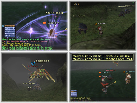 Maiev's Parrying Skillup, 193, Parry Skillup FFXI of Fenrir Server