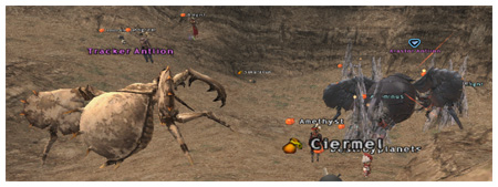 Rosturm Pumps NM, Alaster Antlion, Attohwa Chasm FFXI 