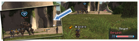 Sky Despot, Depop and Bugged, FFXI Tu'Lia