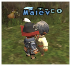 Maiev and Takalo Taru, FFXI Fenrir