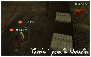 Maiev, Tazo, DuckHUNT of Fenrir, Taru FFXI