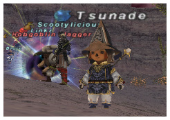 Tsunade WHM, FFXI Taru of Fenrir Server