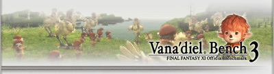 Vanadiel Benchmark 3, PlayOnline