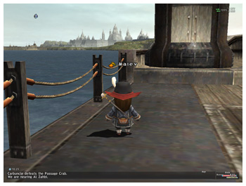 Draw Distance, Ship to Whitegate, Improve FFXI Graphics, 3rd Party Windower Plugin