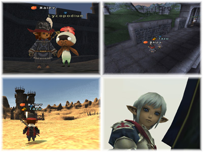 WotG Adventuring!, WotG, Maiev, Fenrir, FFXI