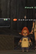 Etain and Shunzi’s Sig Practice!